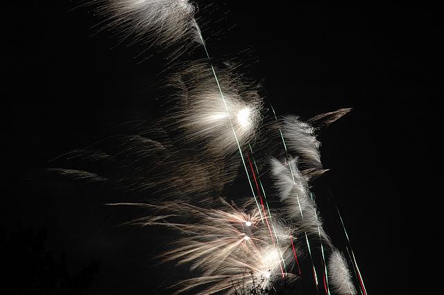 DSC 0334