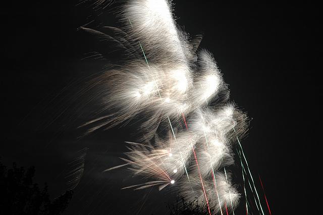DSC 0336