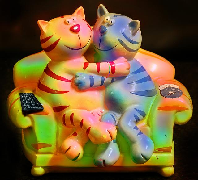 kittens